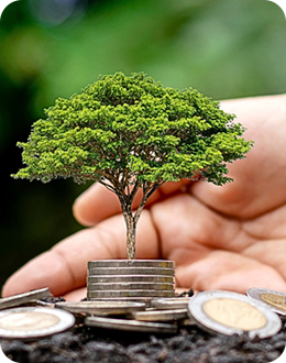 可再生能源应用